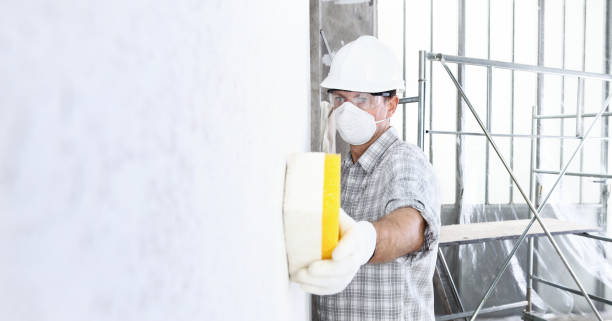 Trusted Montgomery City, MO Mold Removal & Remediation Experts